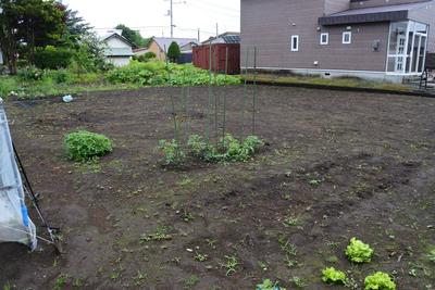 Mikawa Asahicho 63 Property Listing — Land, Yuni, Hokkaido