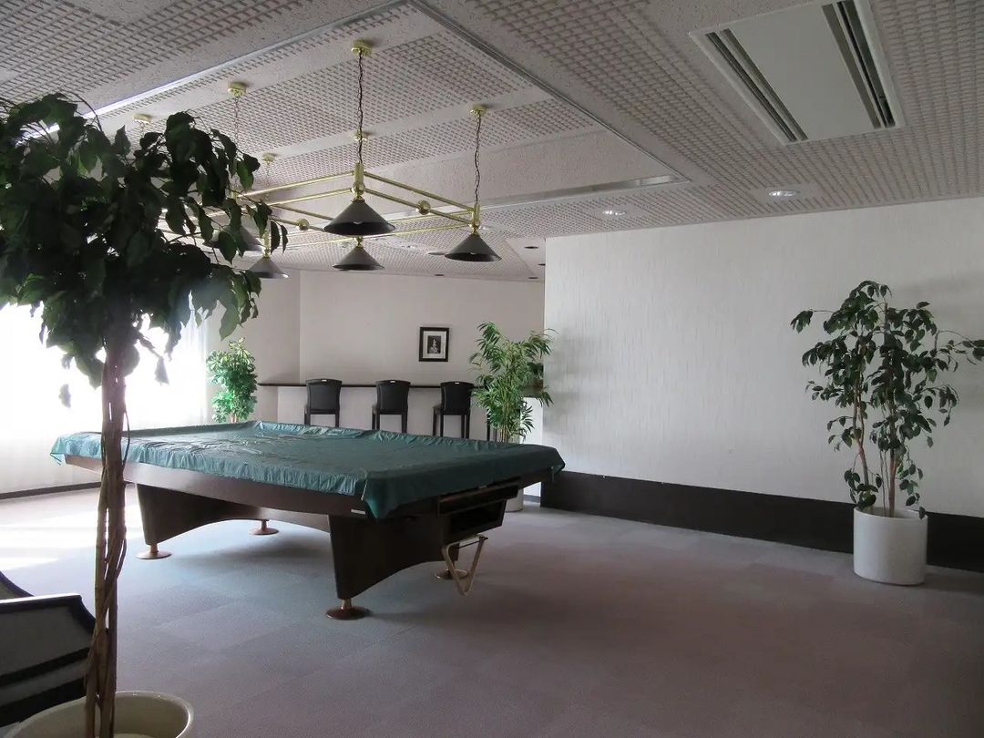 Noel Naeba 1K Condo for Sale Near Naeba Ski Resort, Niigata - Thumbnail 3