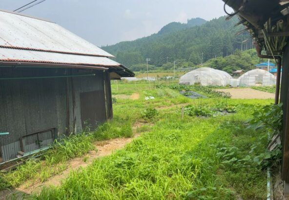 Single-Story House on Old Ise Highway in Misugi Village, Nara - Thumbnail 3