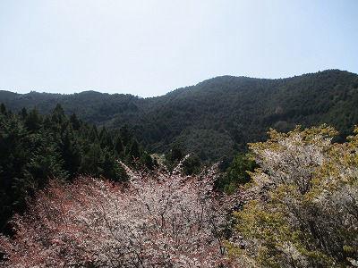Mountain Home with Views in Kawanouchi, Yawatahama — Image 2, Yawatahama, Ehime