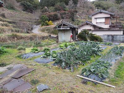 Mountain House with Farmland in Yawatahama - Great Views — Image 1, Yawatahama, Ehime