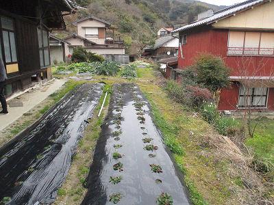 Mountain House with Farmland in Yawatahama - Great Views — Image 4, Yawatahama, Ehime