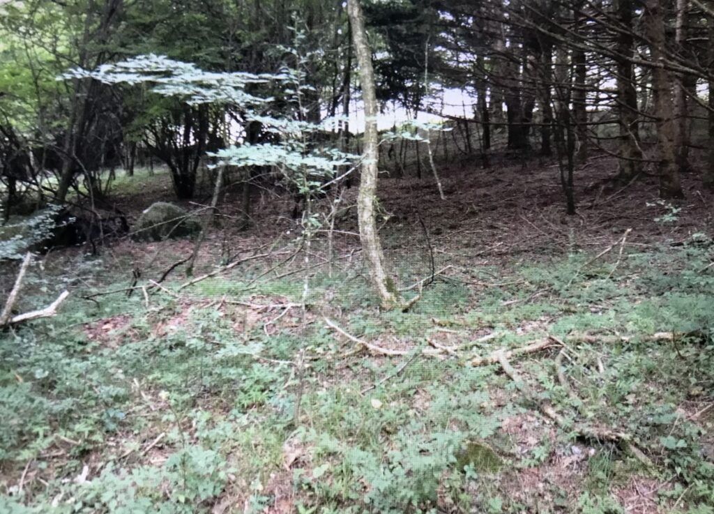 0 Yen Land in Fujikawaguchiko, Yamanashi - 1,168 sqm - Thumbnail 3