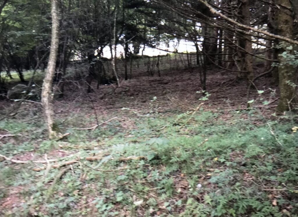 0 Yen Land in Fujikawaguchiko, Yamanashi - 1,168 sqm - Thumbnail 4
