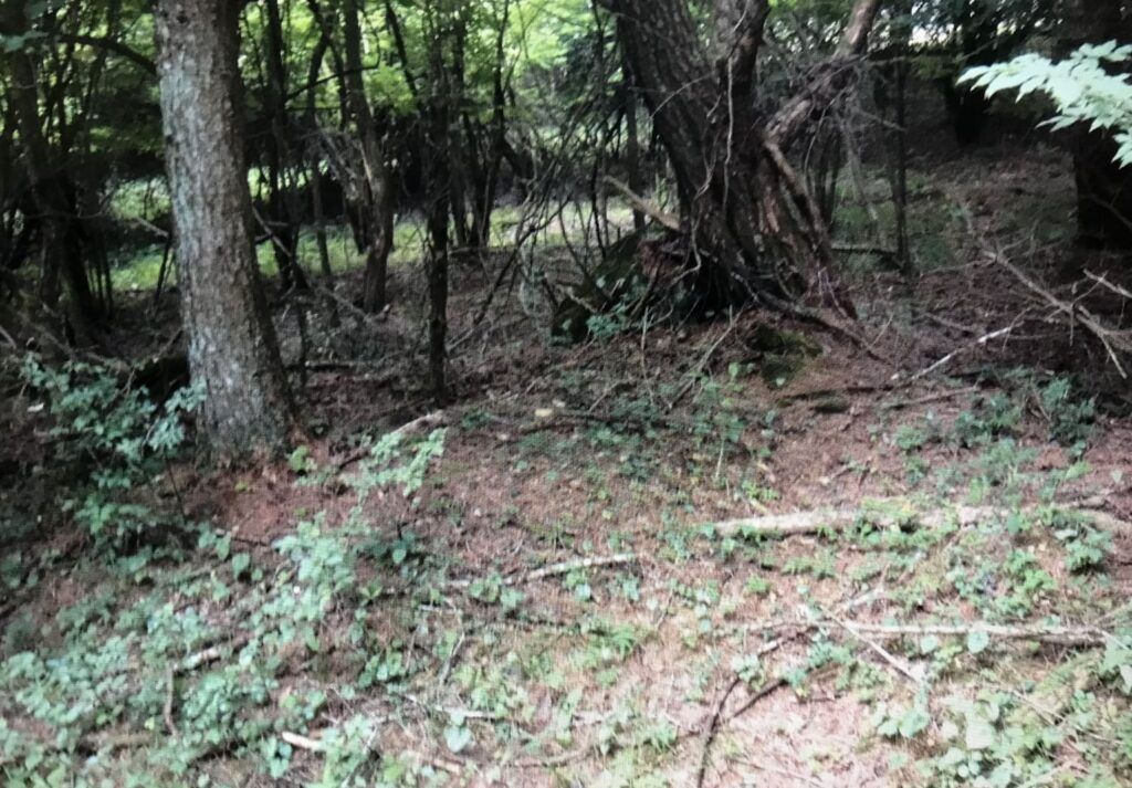 0 Yen Land in Fujikawaguchiko, Yamanashi - 1,168 sqm - Thumbnail 2