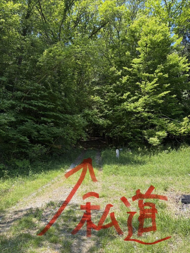 Free Mountain Forest Land in Toyota City, Aichi - Thumbnail 3