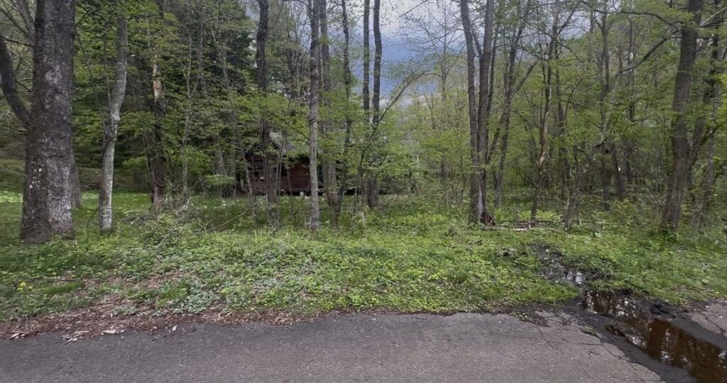 561 sqm Land Parcel in Sakuho Town Nagano - Thumbnail 2
