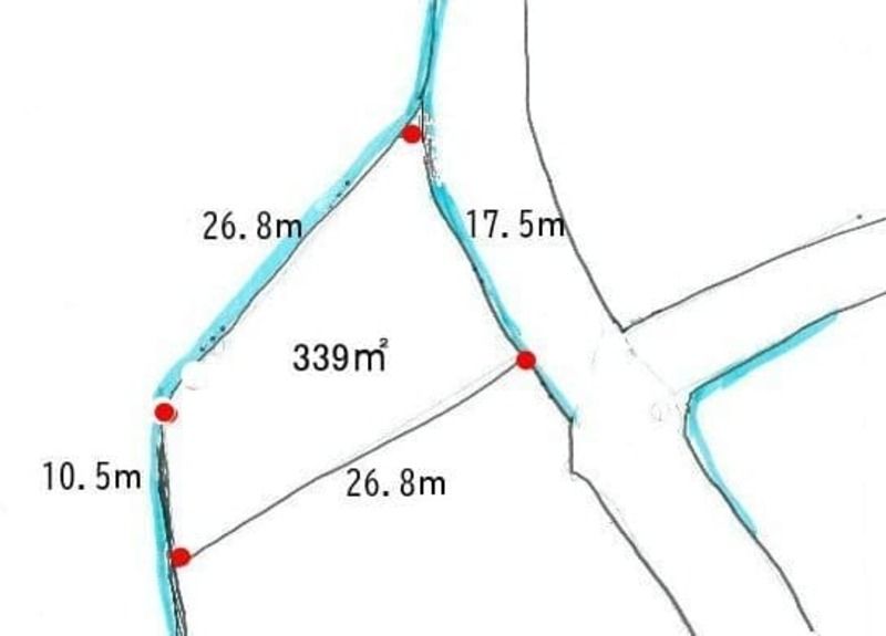 339 sqm farmland for free in Tokoname City, Aichi - Thumbnail 3