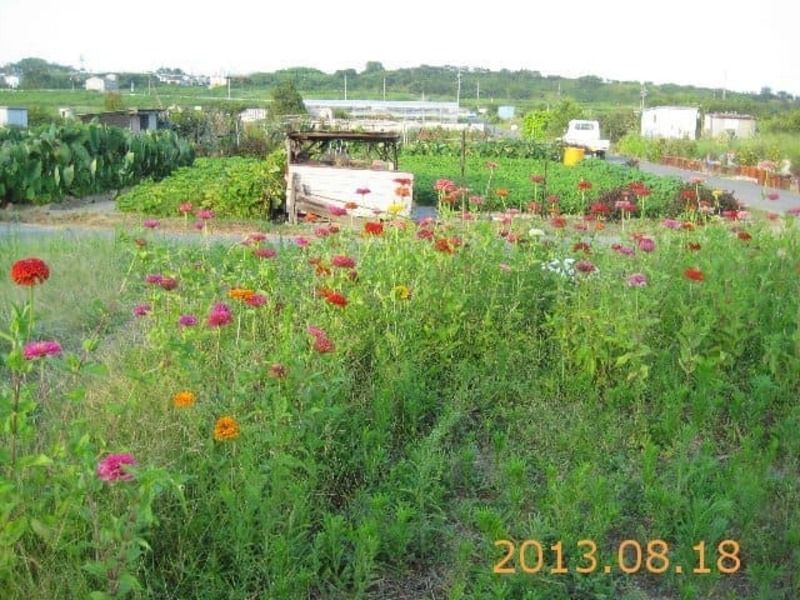 339 sqm farmland for free in Tokoname City, Aichi - Thumbnail 2