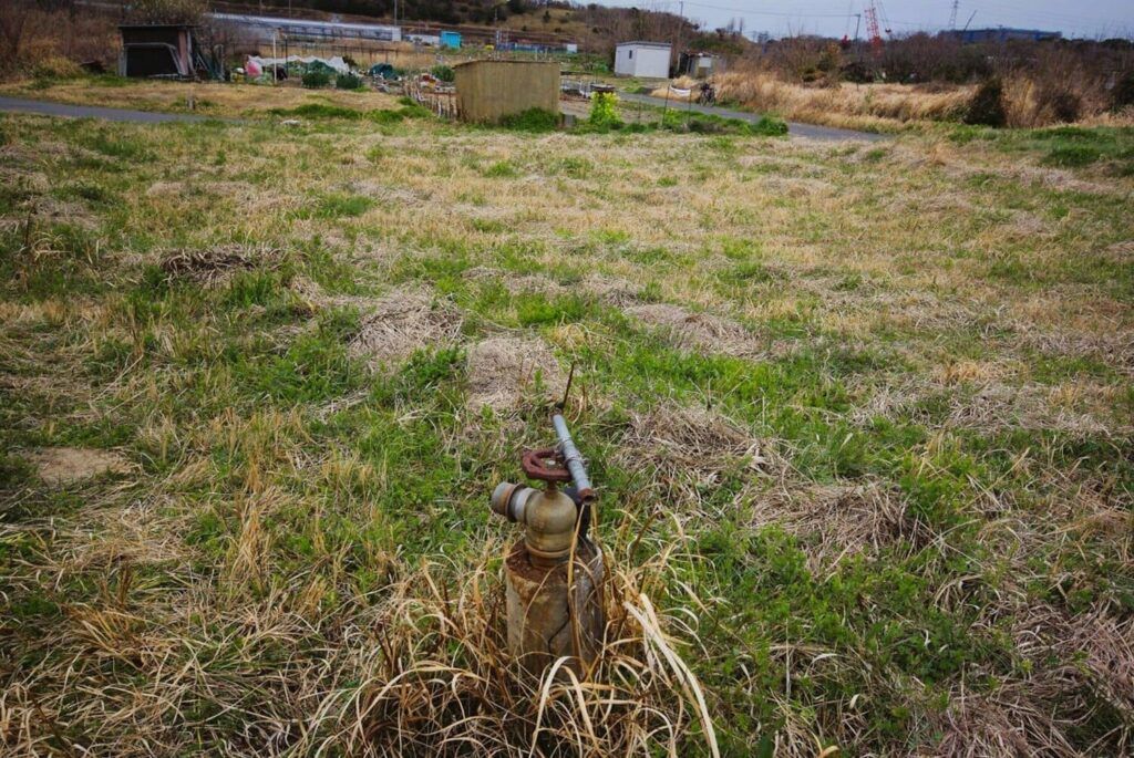 339 sqm farmland for free in Tokoname City, Aichi - Thumbnail 4