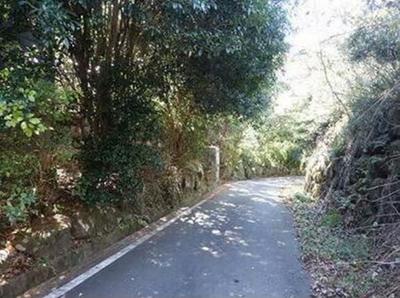 Spacious Holiday Home in South Hakone Highland for Free Transfer — Land, Kannami, Shizuoka