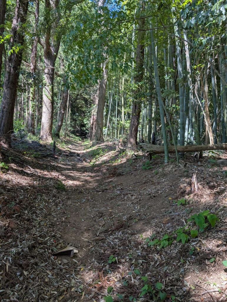 Zero Yen Land in Ishioka, Ibaraki – 2,119 sqm Bamboo Grove - Thumbnail 3