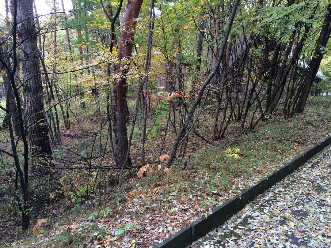 348 sqm Land Parcel in Eutopia Komoro Resort, Komoro City - Thumbnail 4