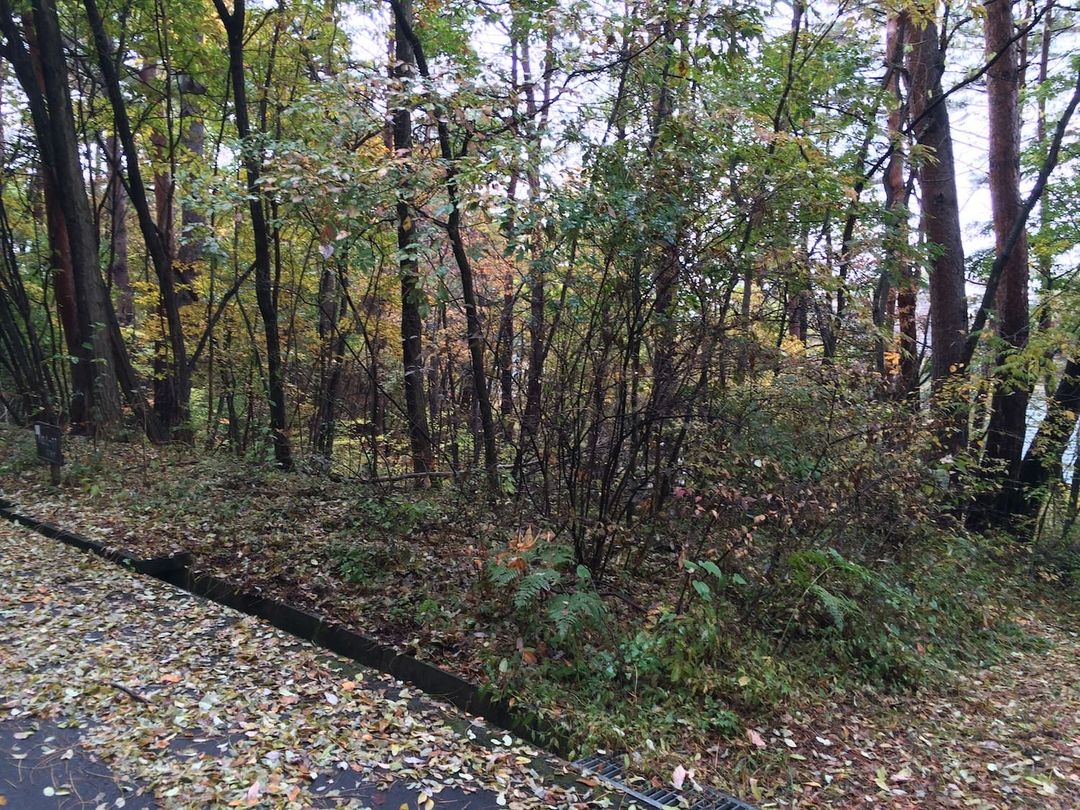 348 sqm Land Parcel in Eutopia Komoro Resort, Komoro City - Thumbnail 2