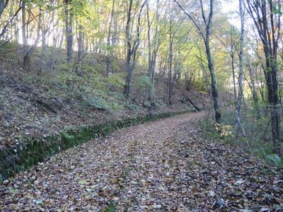 Free Mountain Villa Land Plot in Naganohara with Scenic Views — Land, Naganohara, Gunma