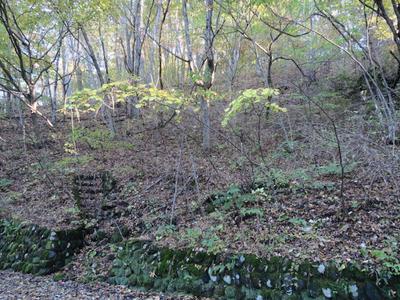 Free Mountain Villa Land Plot in Naganohara with Scenic Views — Land, Naganohara, Gunma