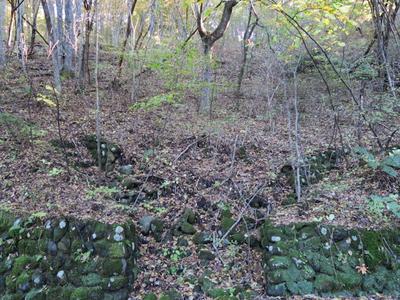 Free Mountain Villa Land Plot in Naganohara with Scenic Views — Land, Naganohara, Gunma