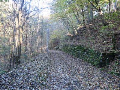 Free Mountain Villa Land Plot in Naganohara with Scenic Views — Land, Naganohara, Gunma