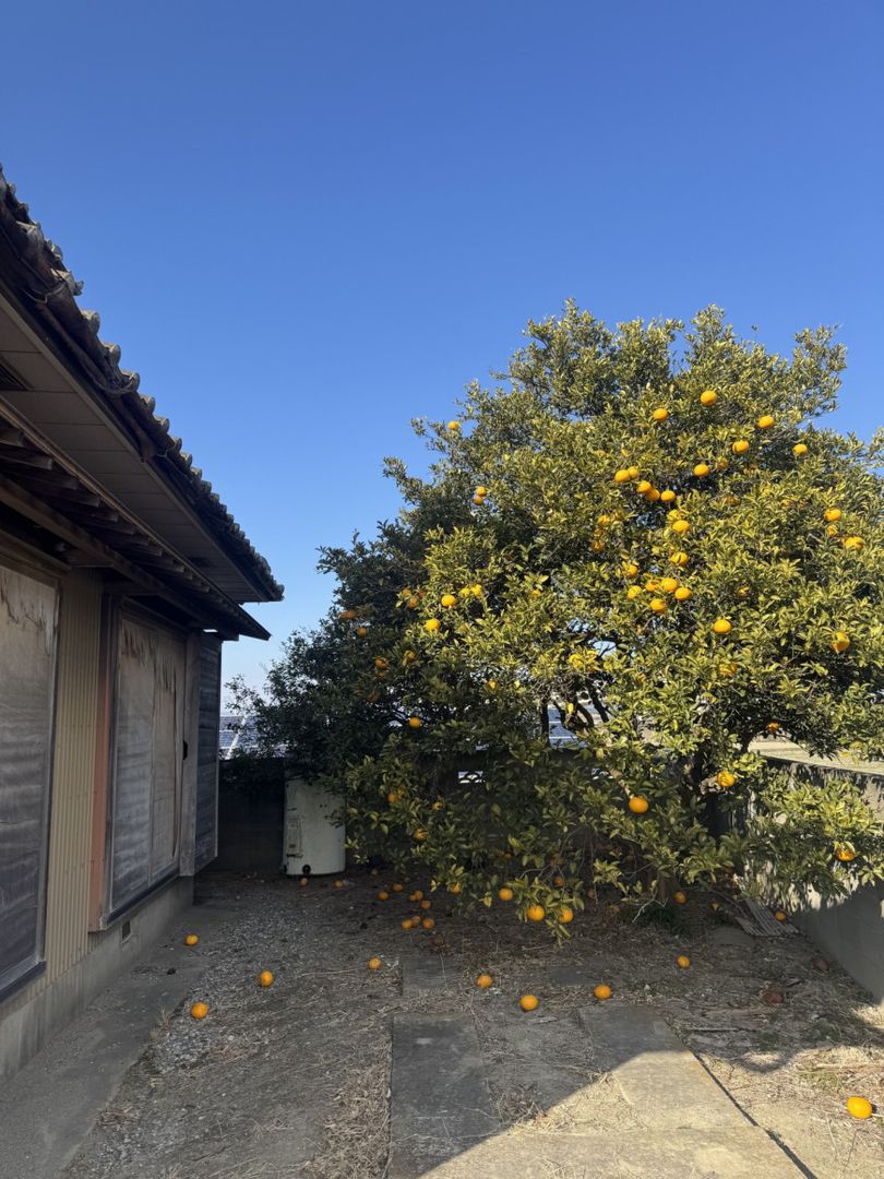 Free Land and Building in Tokushima City, Tokushima Prefecture - Thumbnail 3